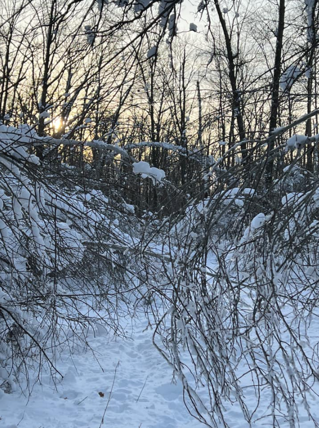 The Great Week Of Trail Clearing